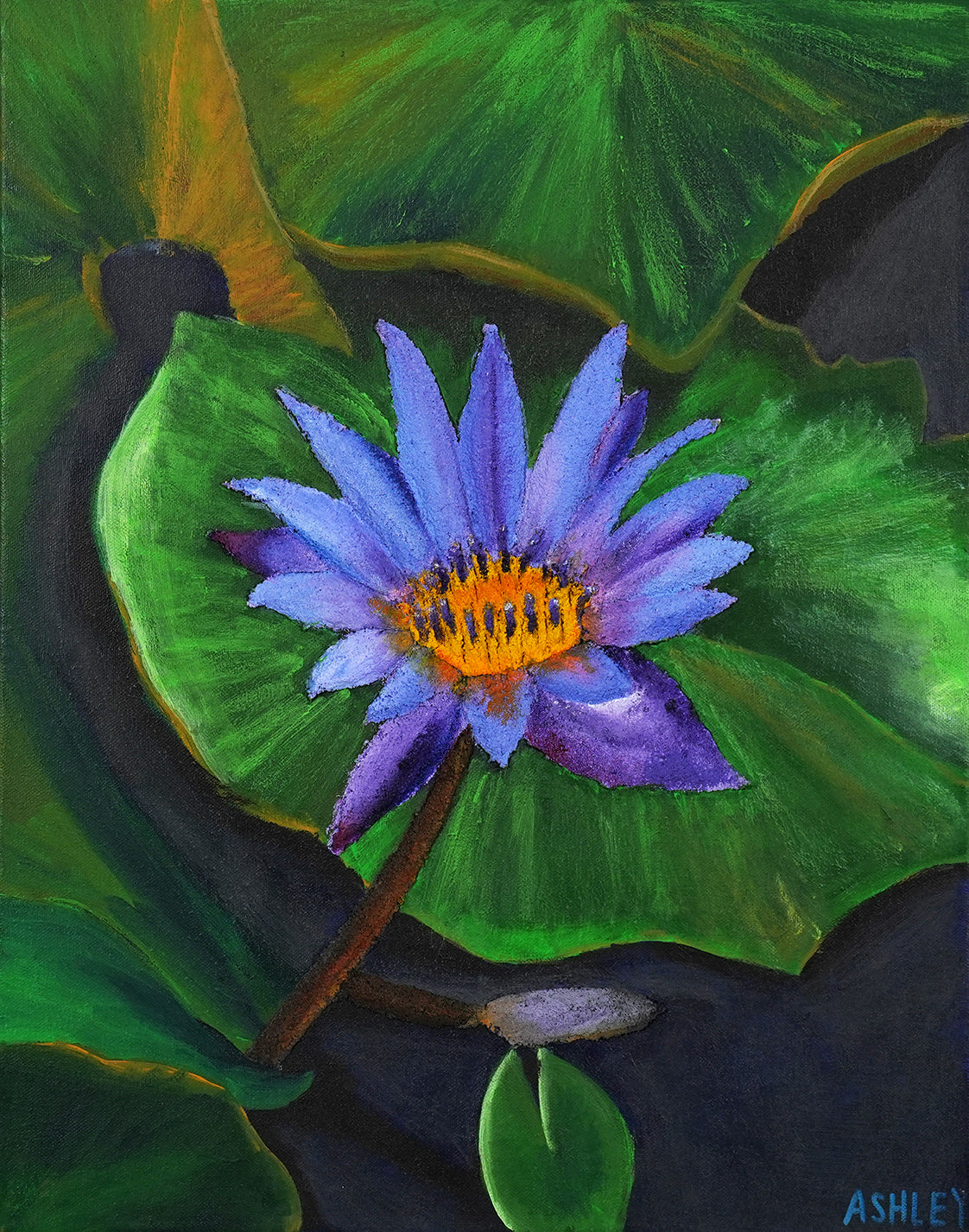 The Purple Lily