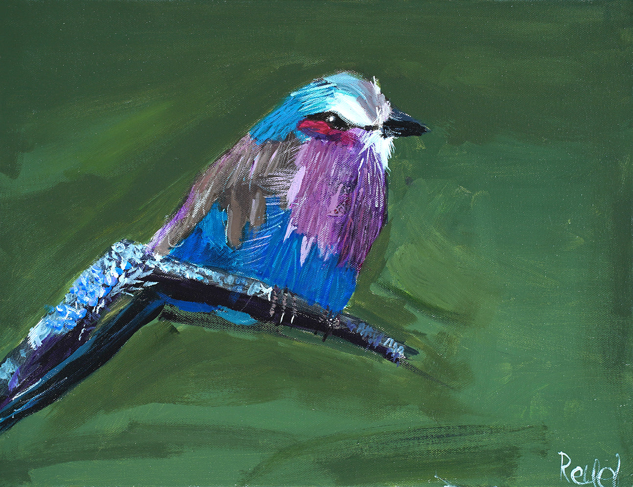 Lilac-brested Roller