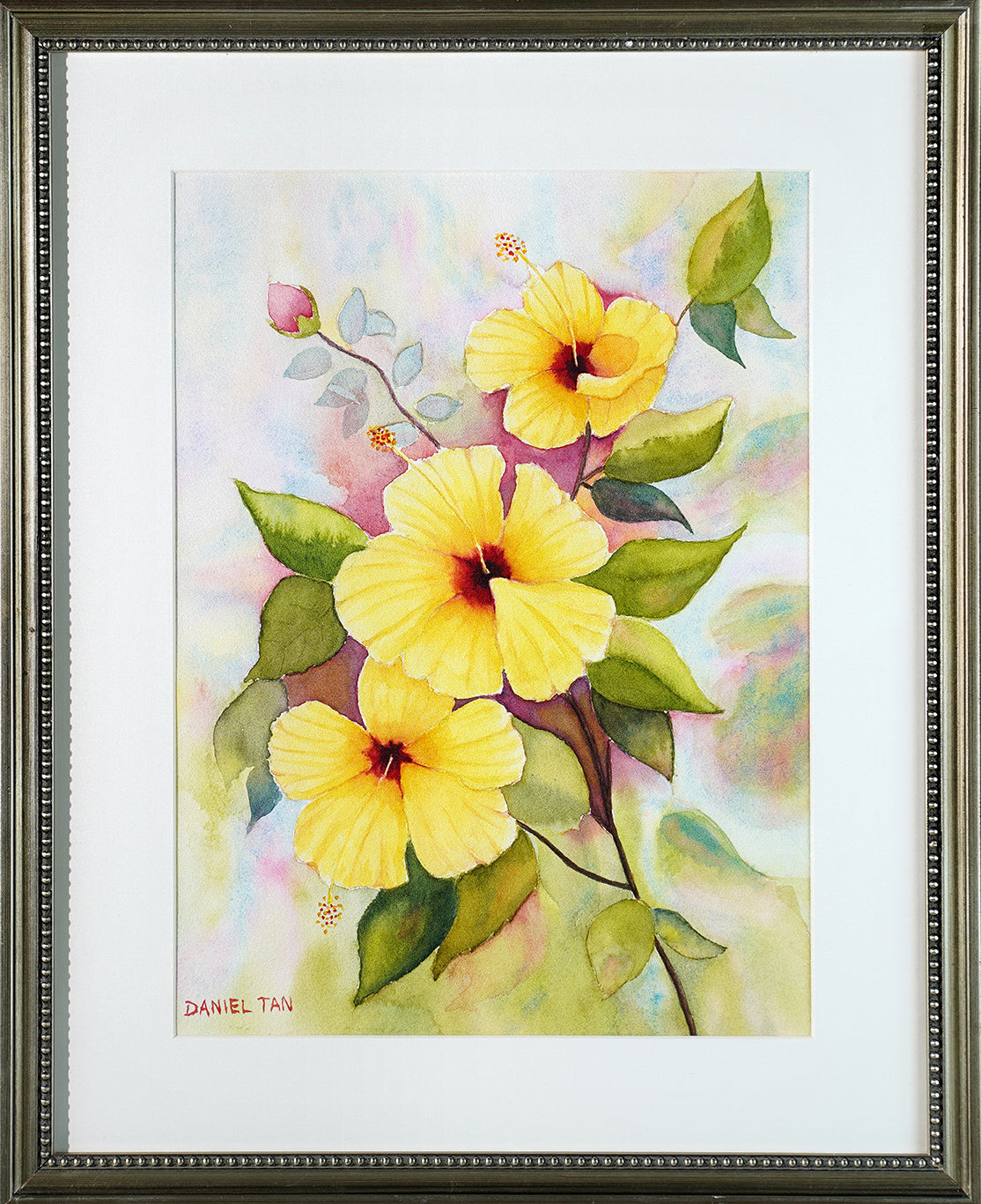 Yellow Hibiscus